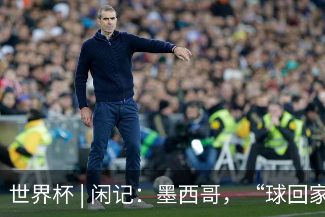 世界杯 | 闲记：墨西哥，“球回家了”